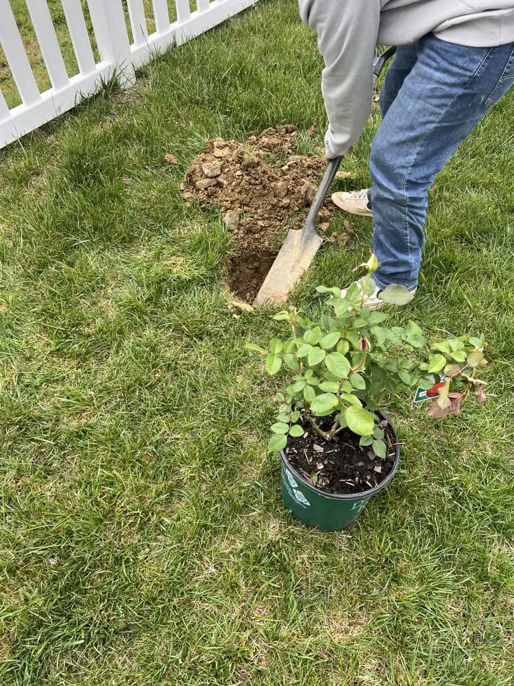 Affordable landscape installation for homes in Front Royal, VA by H&j floors and more