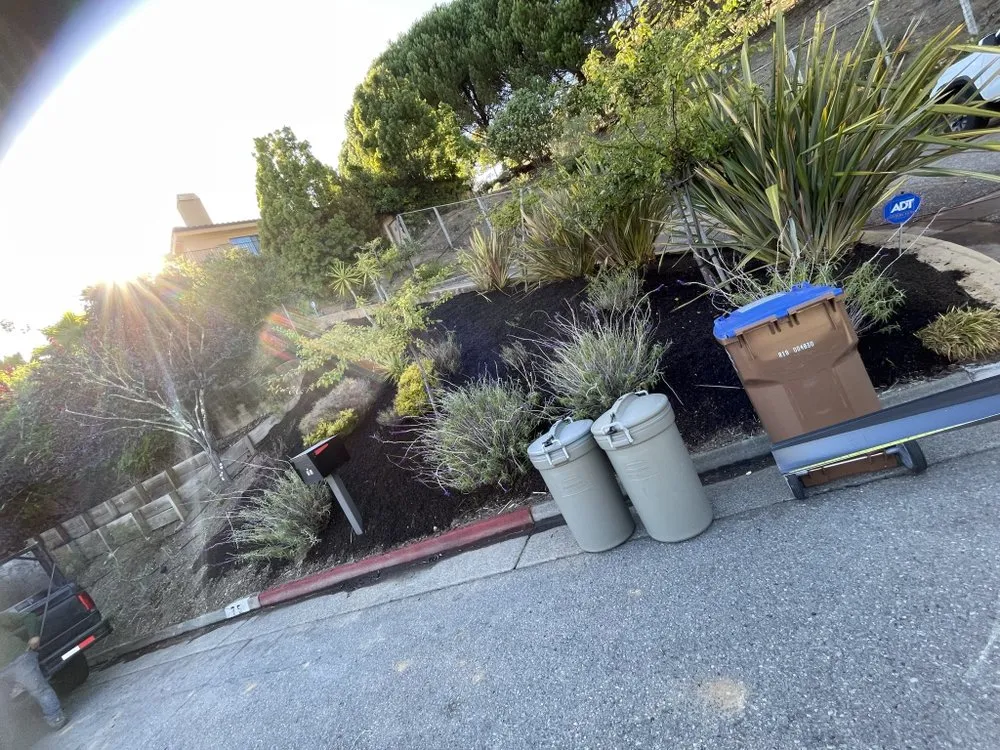 Local yard cleanup service experts serving San Anselmo, CA - H&J Gardening and Landscaping
