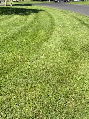 HJ Landscaping and maintenance Logo