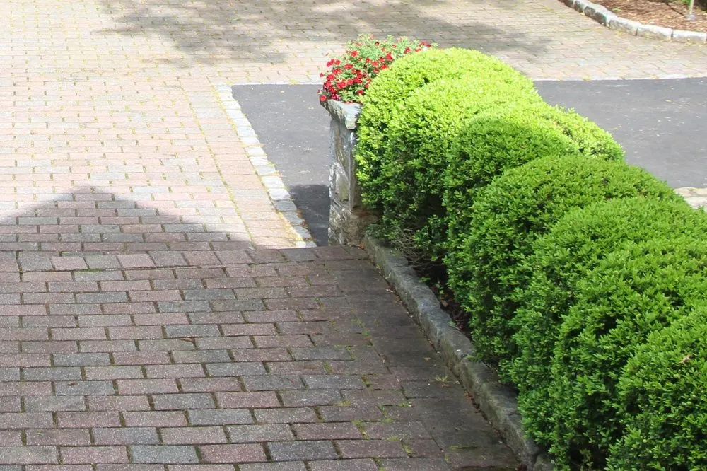 Professional yard maintenance with custom design in Darien, CT by HJ Landscaping