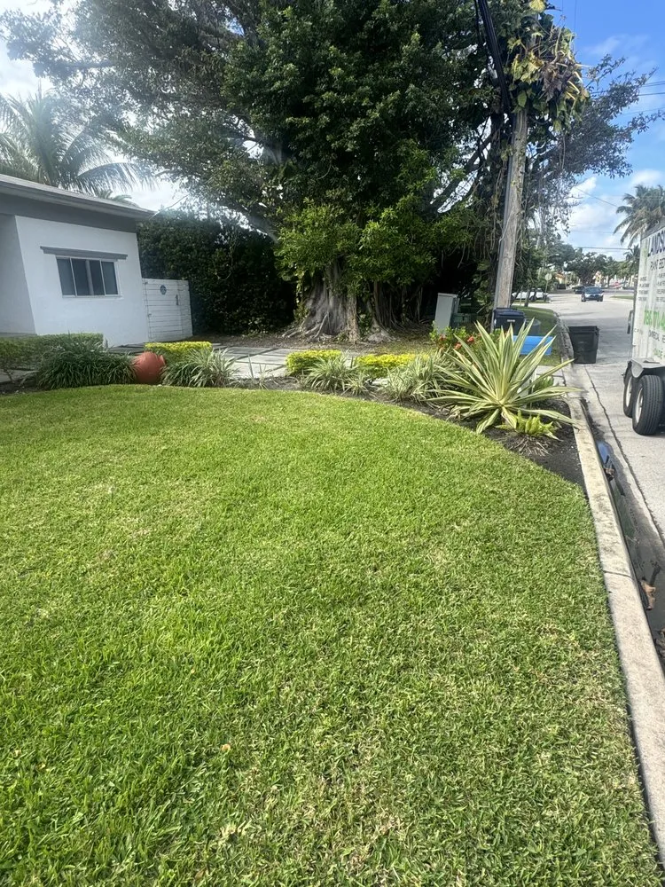 Top-rated landscape installation for year-round maintenance across Homestead, FL - HJ Landscaping