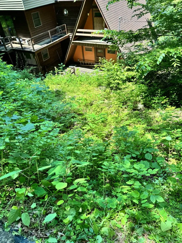 Reliable yard cleanup service in Oliver Springs, TN - HJ Landscaping