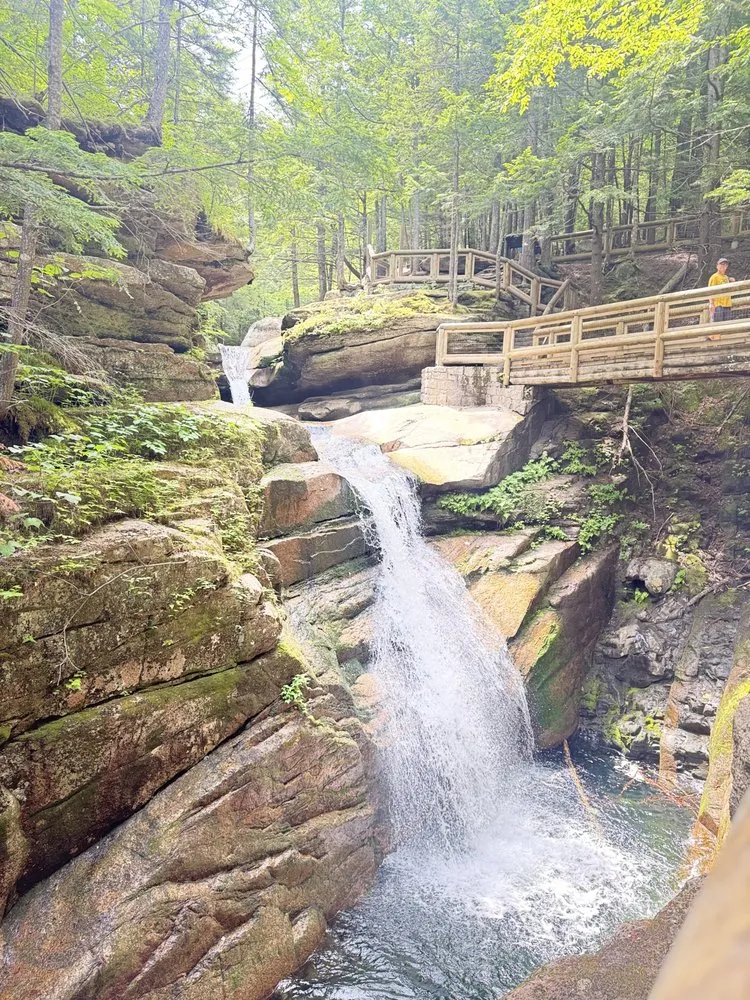 Local landscaping services experts serving Providence, RI - H&J Landscaping