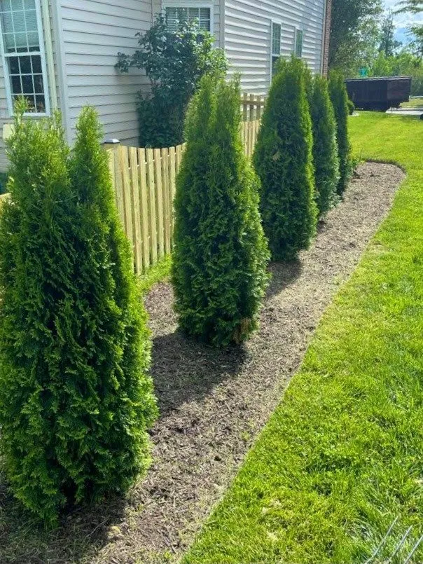 Trusted landscaping services for residential properties in Sterling, VA by H&J Landscaping
