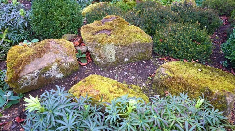 Affordable garden landscaping for year-round maintenance in Sterling, VA by H&J Landscaping