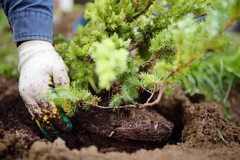 Affordable garden landscaping for residential properties across Sterling, VA - H&J Landscaping