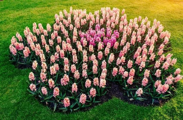 H&J Landscaping Logo