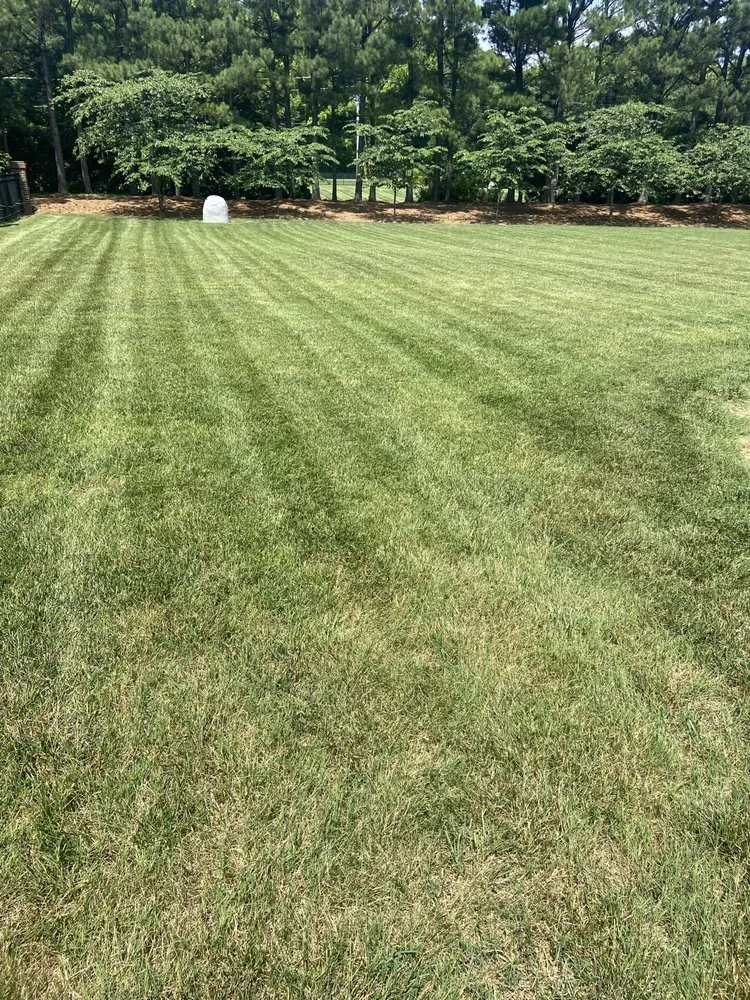 Top-rated residential landscaping in Linwood, NC - H&J Lawn Services