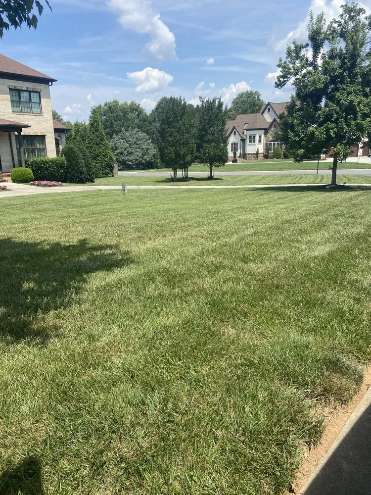 Expert outdoor landscaping in Linwood, NC - H&J Lawn Services