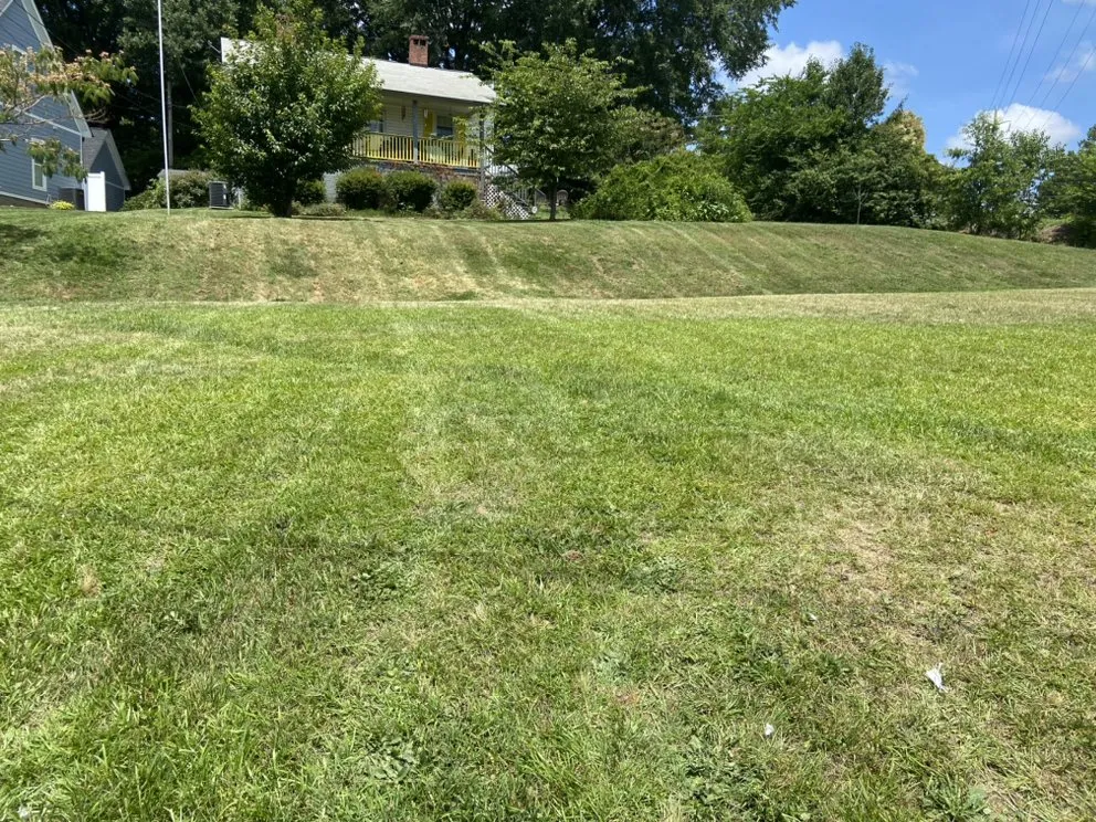 Affordable lawn care service in Linwood, NC by H&J Lawn Services