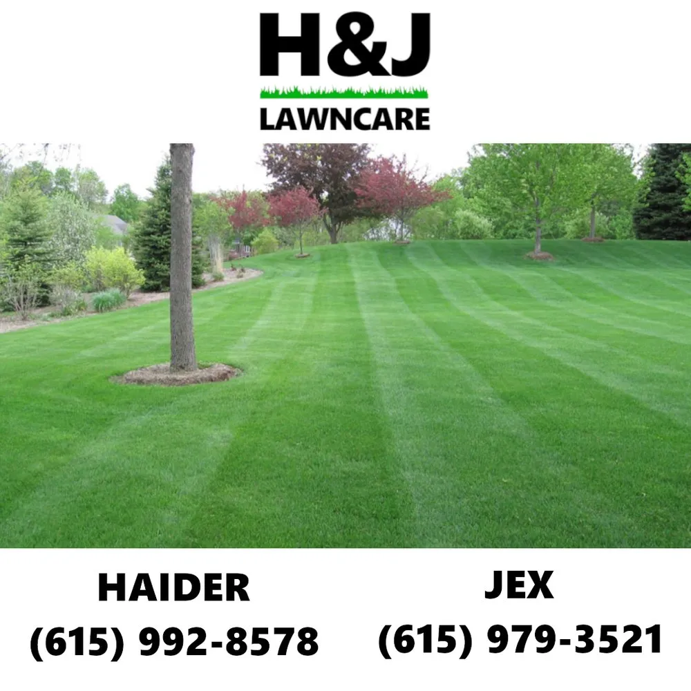 Professional yard cleanup service for year-round maintenance in Goodlettsville, TN by H&J Lawncare