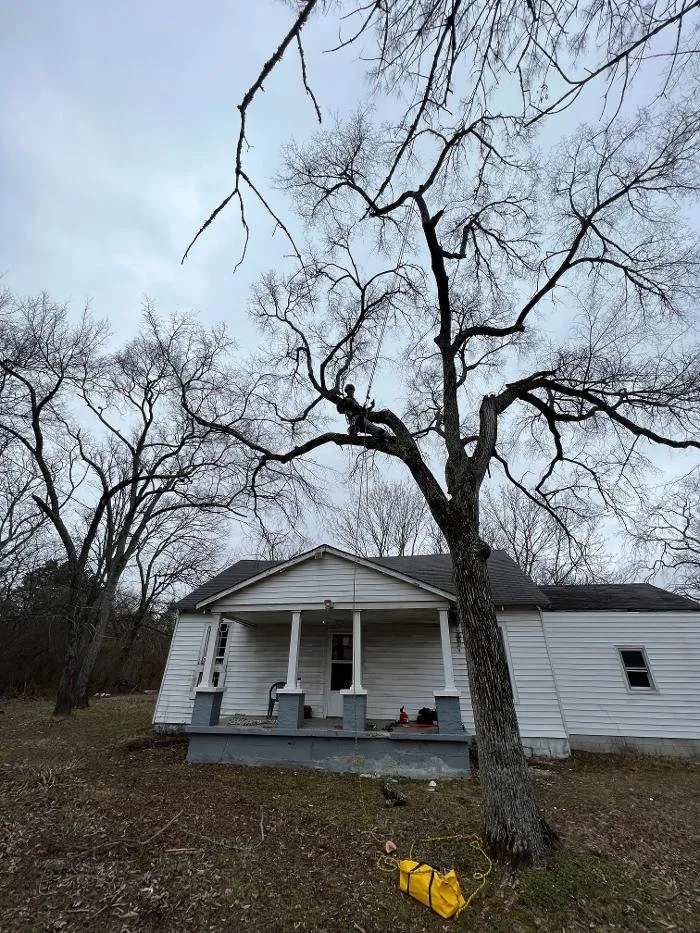 Custom outdoor landscaping in Lebanon, TN by H&J Services