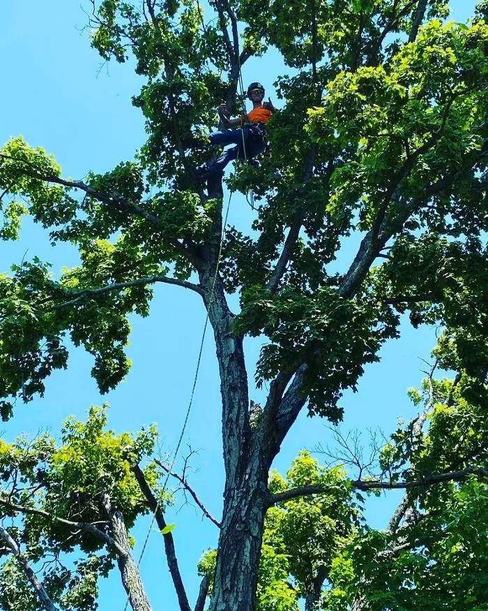 Trusted outdoor landscaping experts serving Lebanon, TN - H&J Services