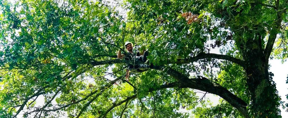 Trusted lawn care service experts serving Lebanon, TN - H&J Services