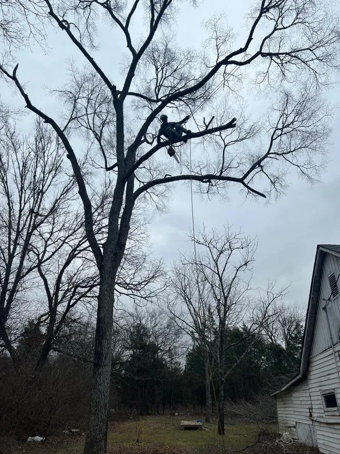 Custom lawn care service experts serving Lebanon, TN - H&J Services