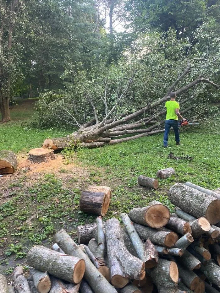 Top-rated landscaping services for outdoor upgrades in Lebanon, TN by H&J Services