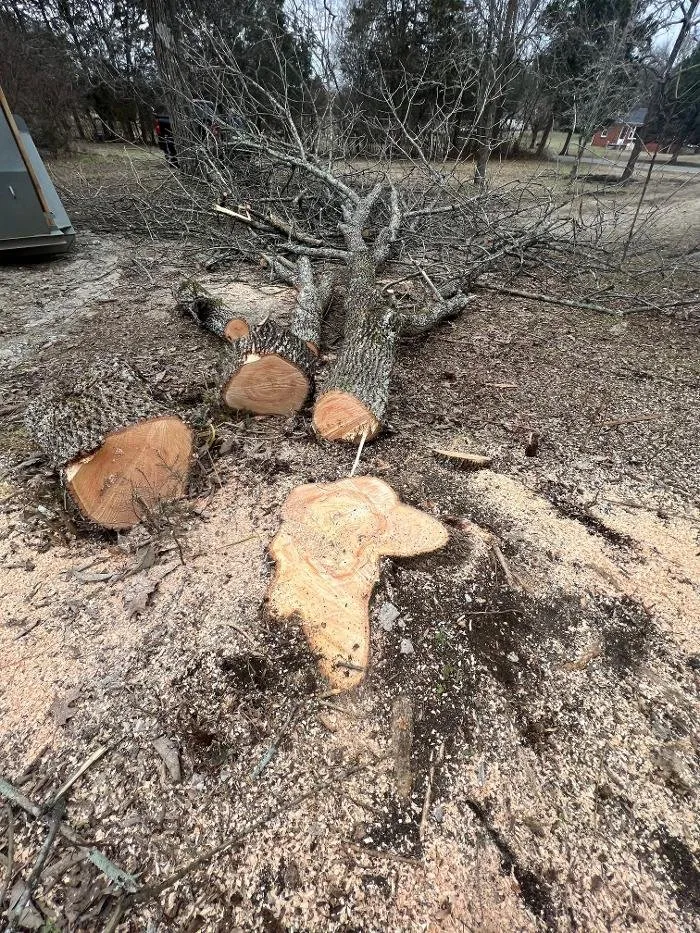 Local landscape design experts serving Lebanon, TN - H&J Services