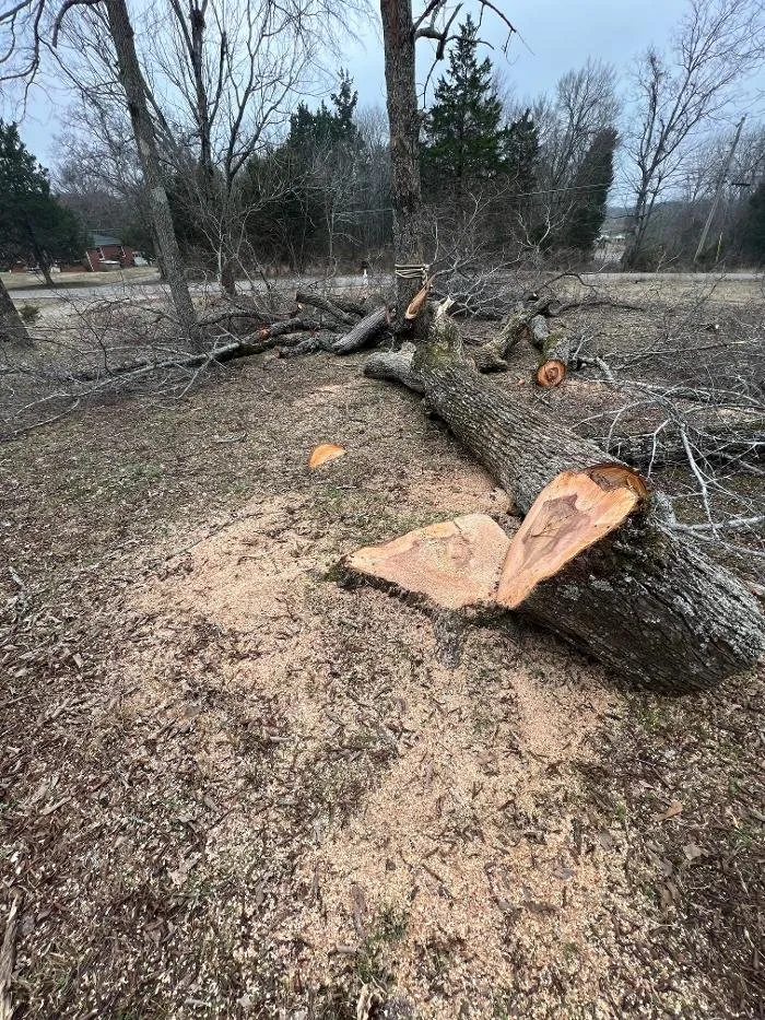 Top-rated yard cleanup service experts serving Lebanon, TN - H&J Services