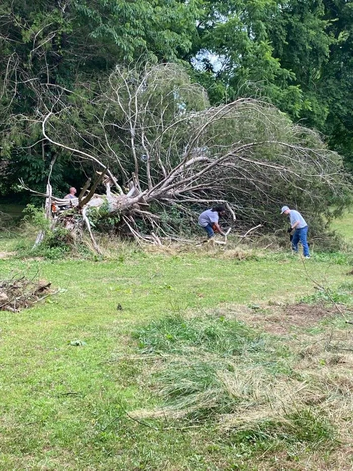 Professional landscape installation in Lebanon, TN by H&J Services