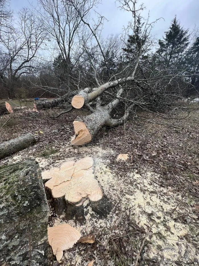 Affordable yard maintenance experts serving Lebanon, TN - H&J Services