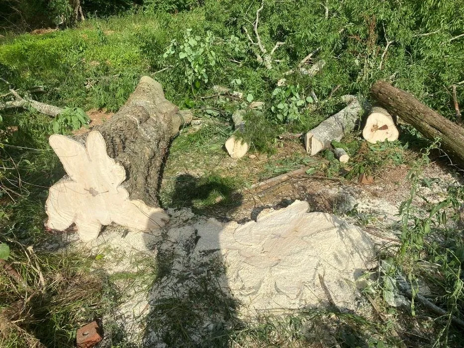 Local garden landscaping in Lebanon, TN by H&J Services