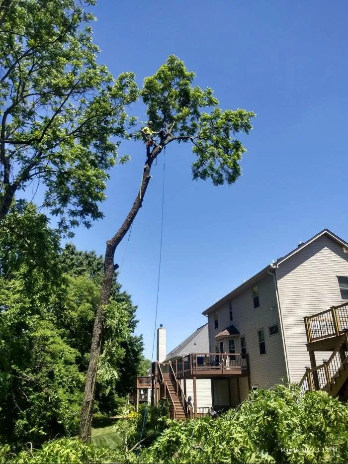 Trusted yard cleanup service near you across Lebanon, TN - H&J Services