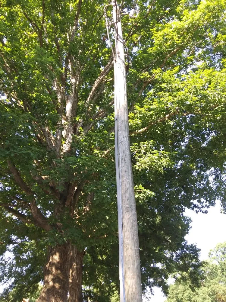 Reliable landscape design in Hampton, VA by H&J Total Lawn Care