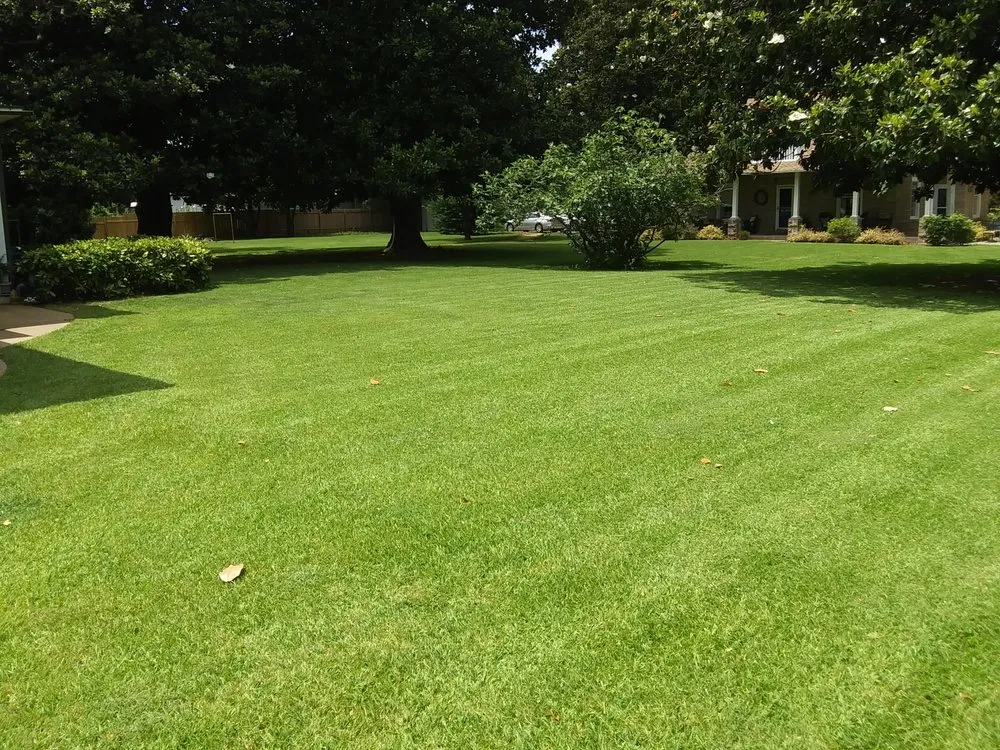 Expert yard maintenance for beautiful yards across Hampton, VA - H&J Total Lawn Care