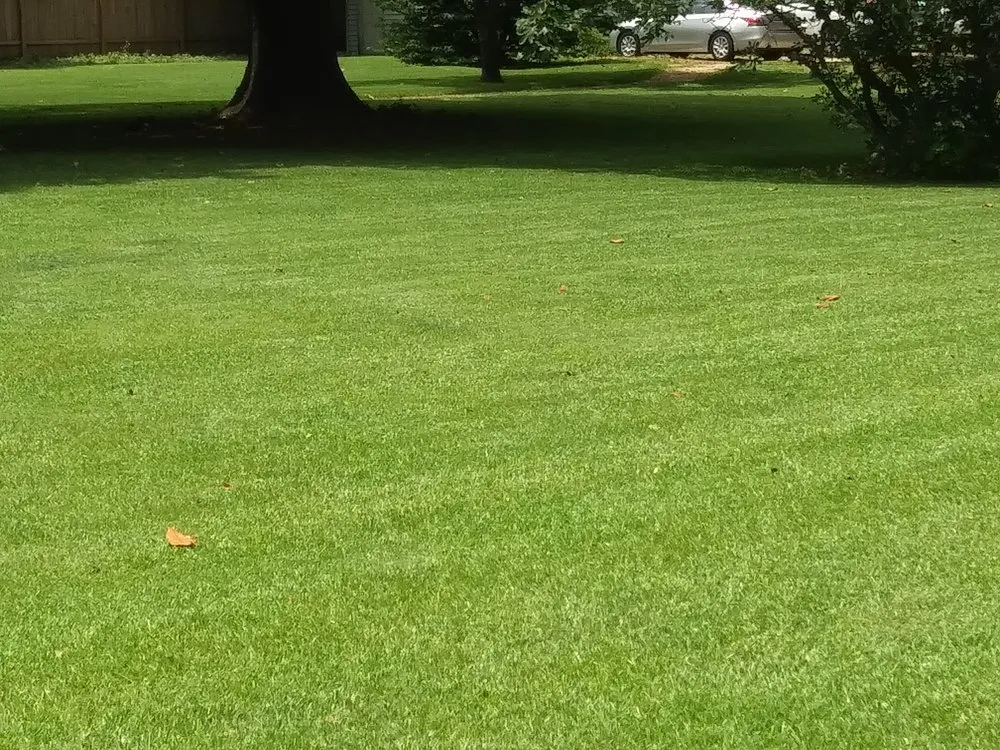 Local landscaping services in Hampton, VA by H&J Total Lawn Care