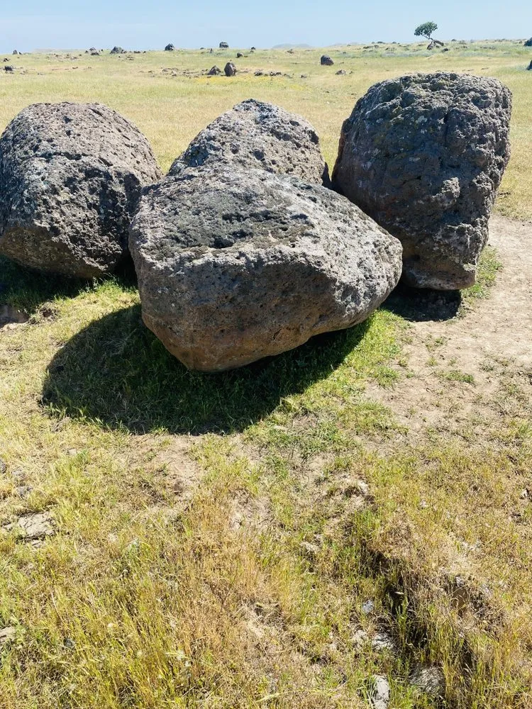 Top-rated yard cleanup service experts serving Oakdale, CA - HJB Rock Of Oakdale