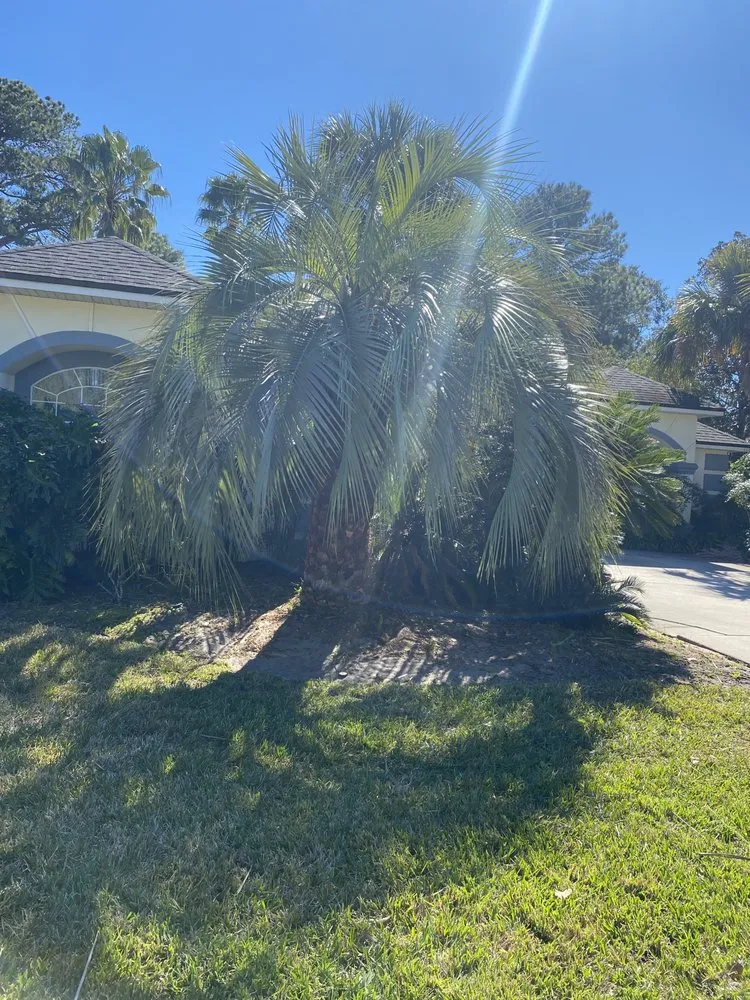 Local lawn care service near you across Fernandina Beach, FL - HJC landscaping & construction