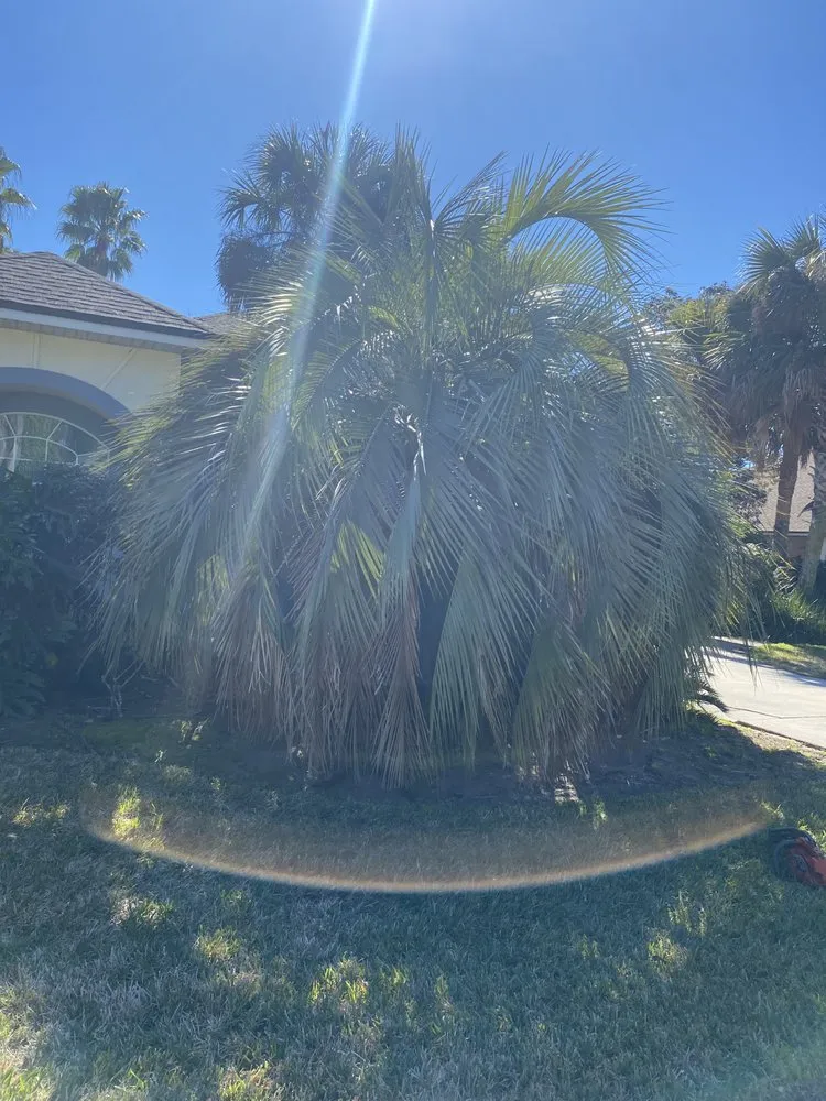 Reliable landscaping services in Fernandina Beach, FL by HJC landscaping & construction