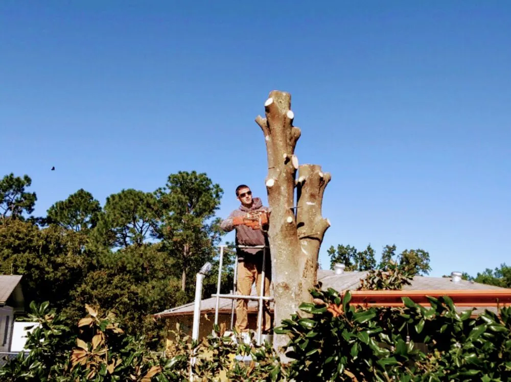 Reliable outdoor landscaping experts serving Spring Hill, FL - HJC Property Maintenance