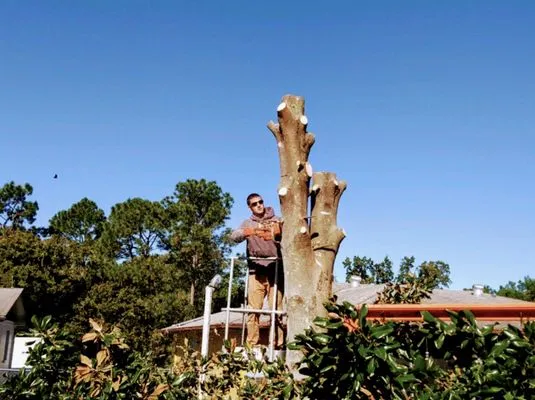 HJC Property Maintenance Logo