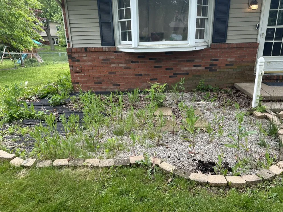 Expert outdoor landscaping for year-round maintenance across Atwater, OH - HJ’s Landscaping Pressure Washing