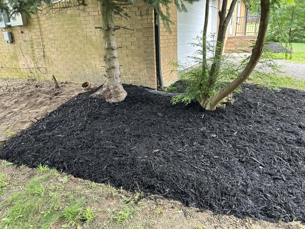 Professional lawn care service in Atwater, OH - HJ’s Landscaping Pressure Washing