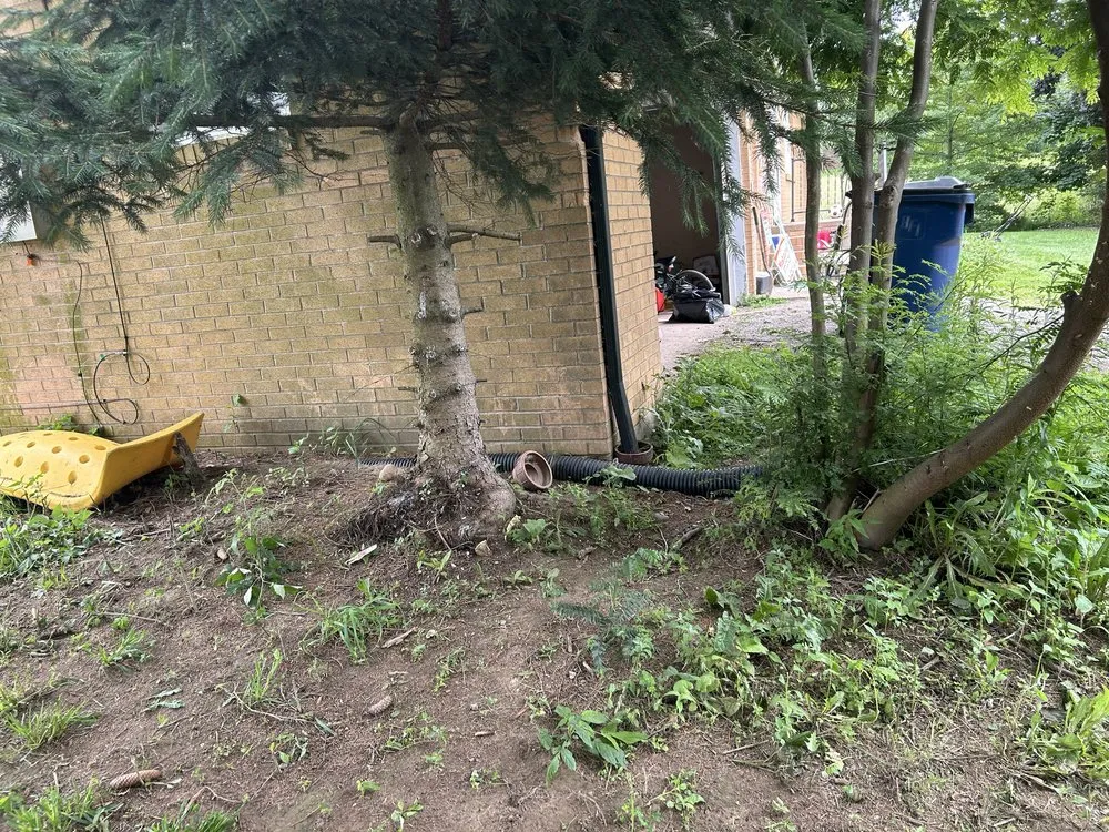 Custom yard cleanup service in Atwater, OH - HJ’s Landscaping Pressure Washing