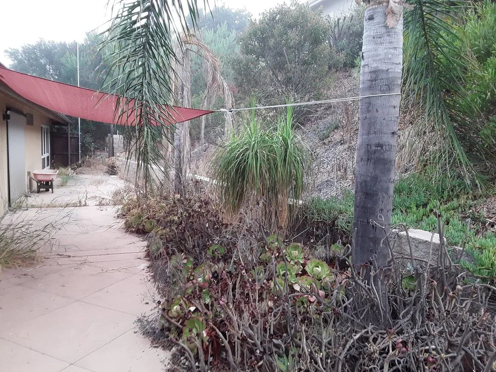 Custom yard maintenance in Lakeside, CA - H&K Landscaping