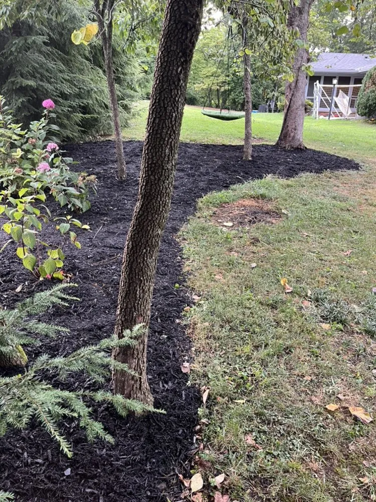Professional yard cleanup service for homes across Maryville, TN - HK Lawn Services