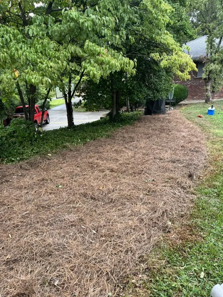 Custom yard cleanup service in Maryville, TN by HK Lawn Services