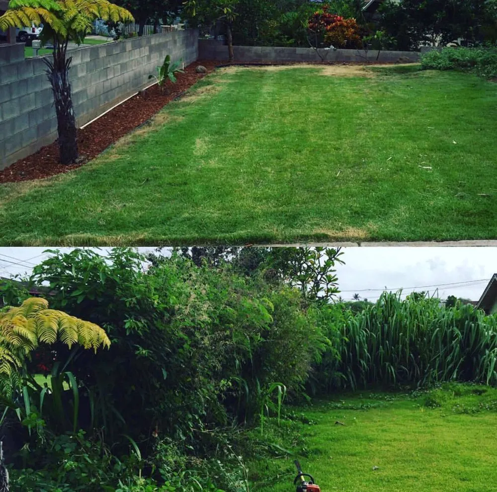 Professional yard maintenance for homes across Wailuku, HI - H&K Yard Maintenance