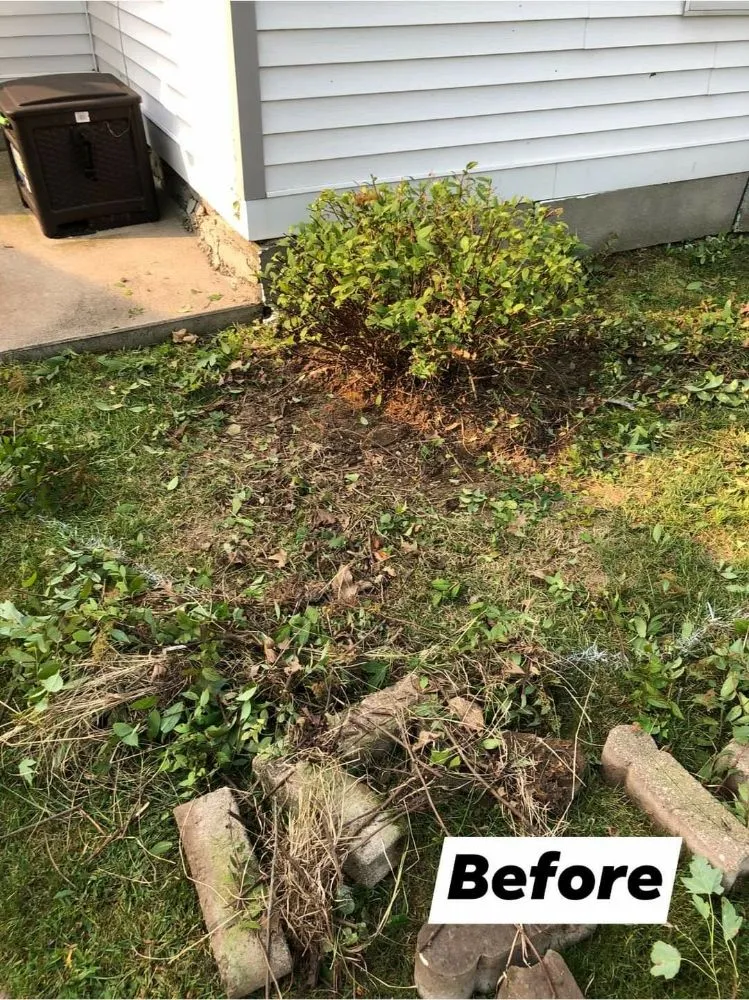 Affordable residential landscaping near you across Homosassa, FL - HKE Lawn & Landscaping