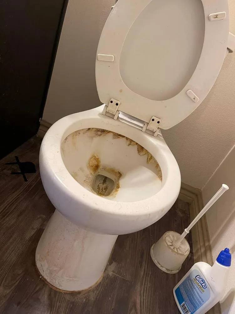 Reliable landscape design near you in Chesterfield, VA by H&L General Services