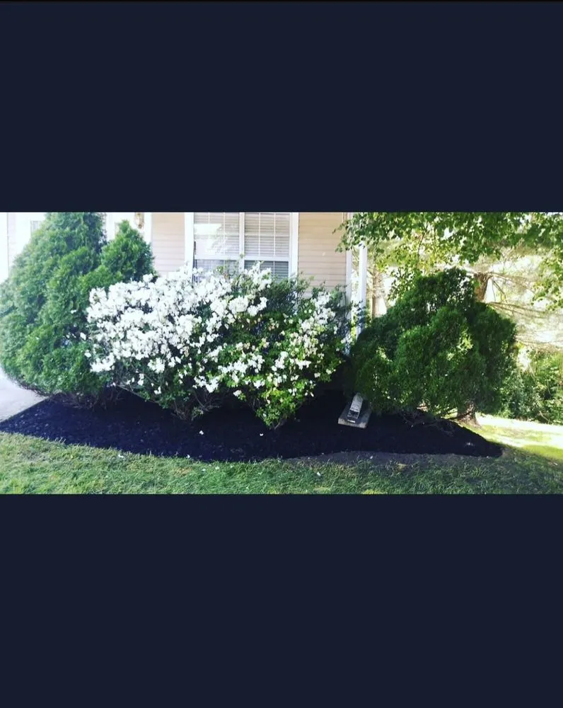 Professional landscaping services for beautiful yards across Baltimore, MD - HL Hardscape & Home