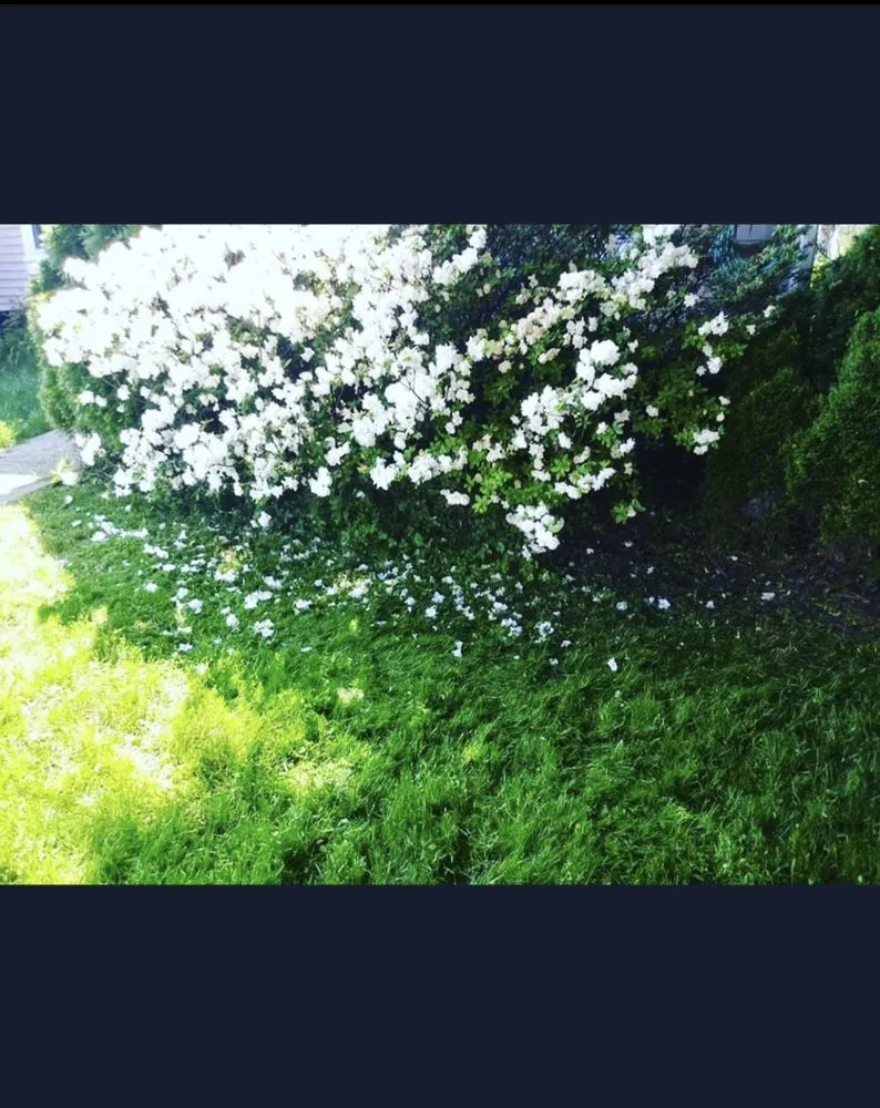 Trusted residential landscaping for year-round maintenance in Baltimore, MD by HL Hardscape & Home