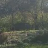 Affordable yard cleanup service for year-round maintenance across Kenosha County, WI - HL Landscape