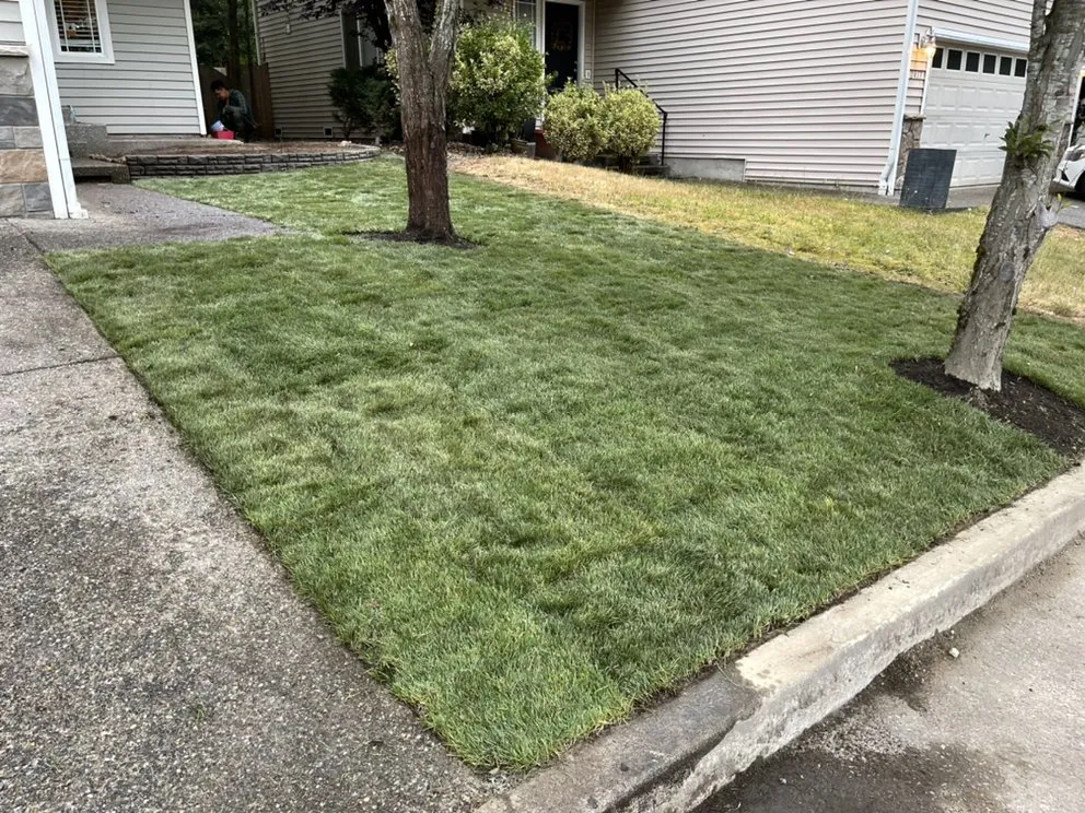 Affordable lawn care service experts serving Lynnwood, WA - HL Landscaping