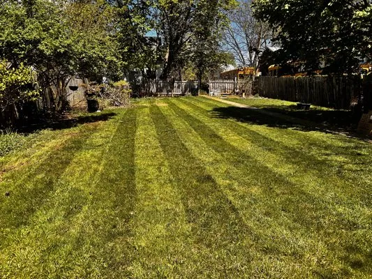H&L Lawn Maintenance