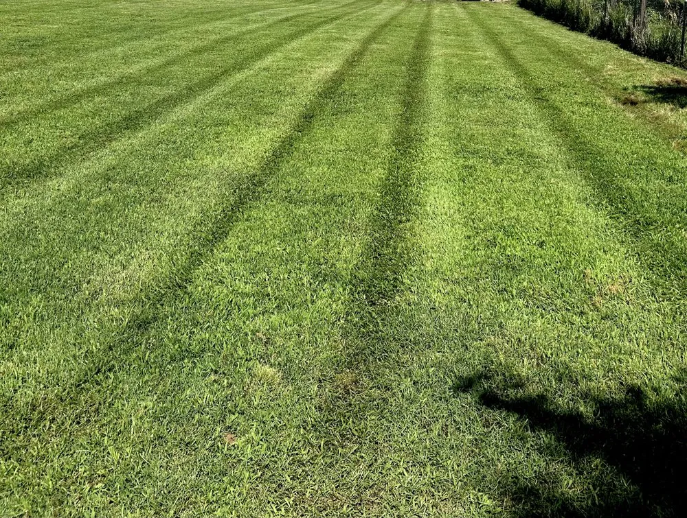 Top-rated yard cleanup service in Newalla, OK by H&L Lawn Maintenance
