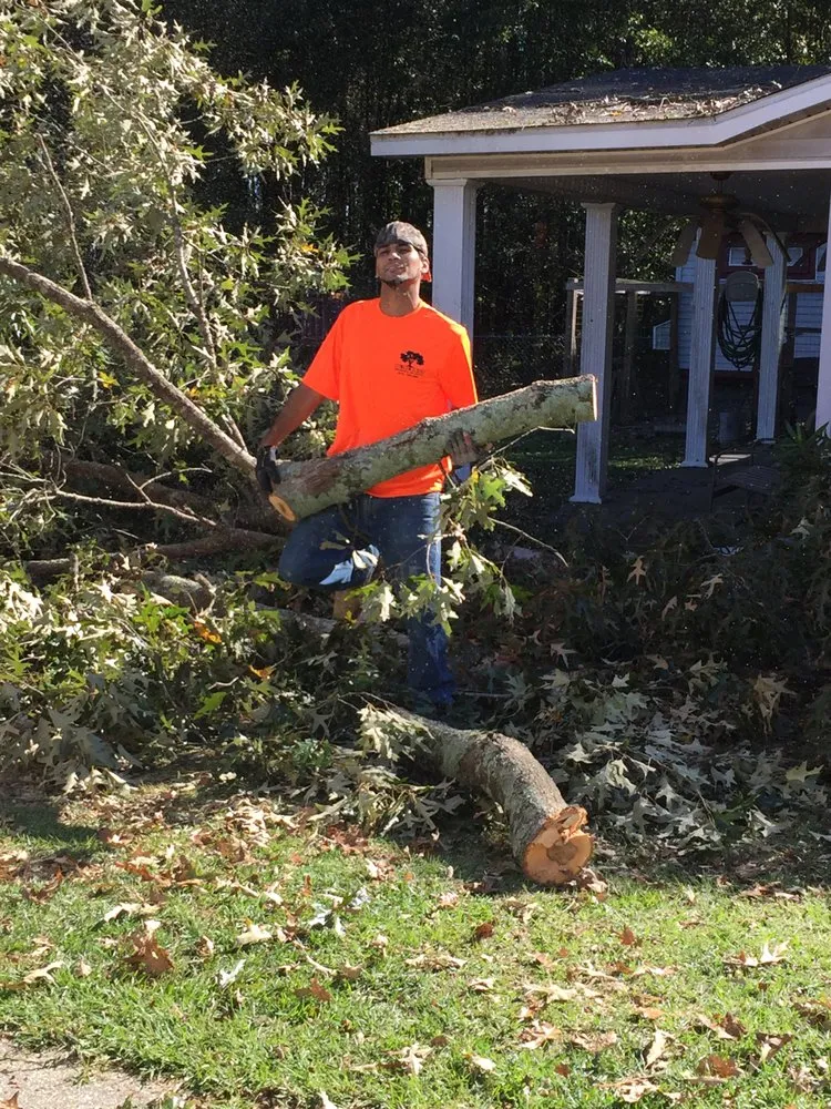 Expert landscape installation in Red Springs, NC by H&L Tree Service